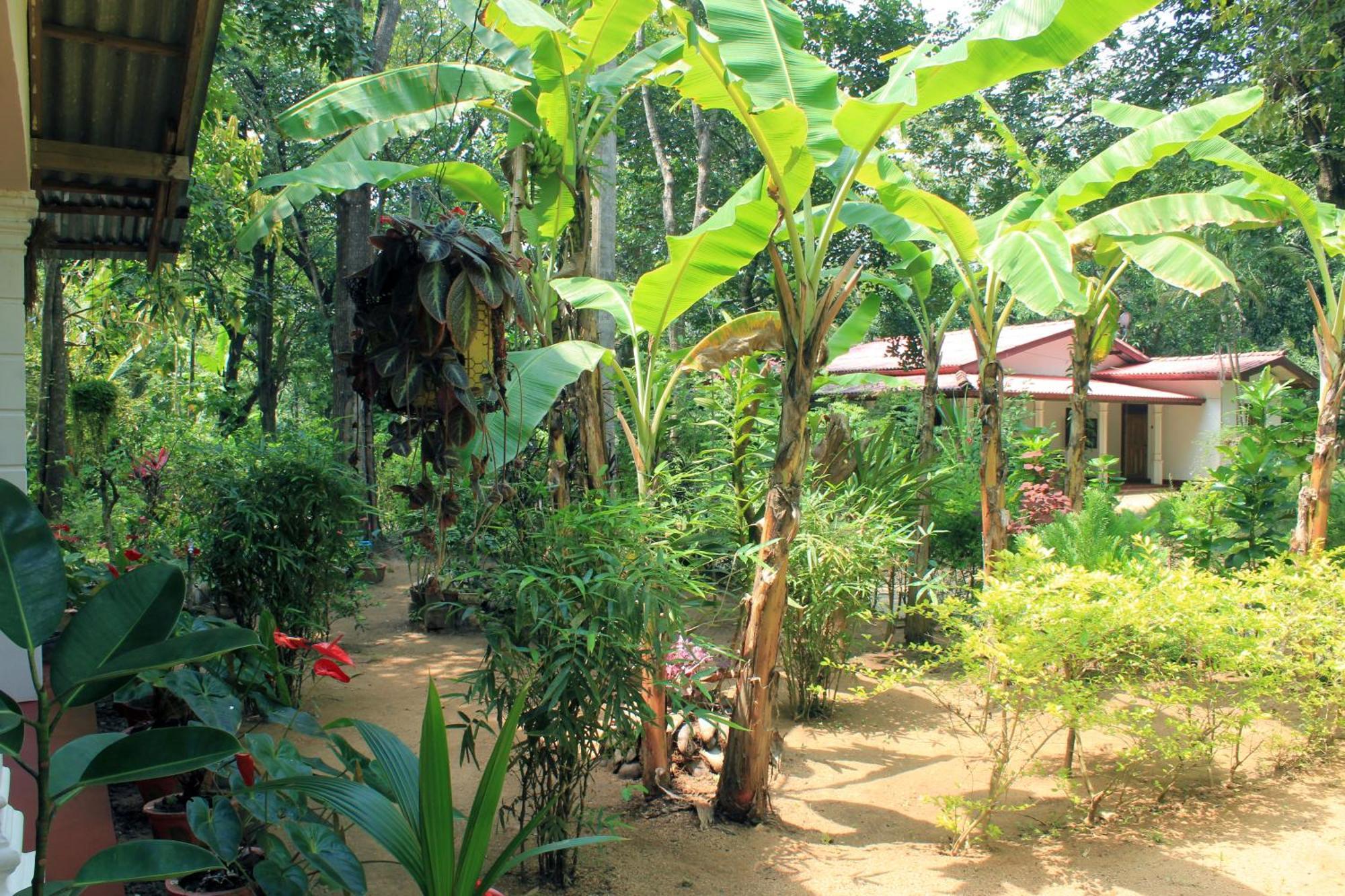 Suba Home Stay Sigiriya Exterior foto